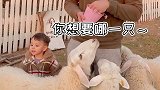 混在羊群里的小马特太可爱了～小马特 搞笑夫妻 中立夫妇 放羊娃 迪欧