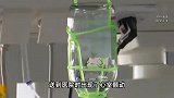 30岁女子坐11小时飞机后猝死，医生提醒：这些人群需注意