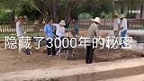 隐藏了3000年的秘密