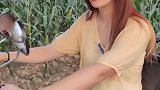 不要和愚蠢的人发生争执就好了