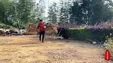 毛豆壳烧成草木灰，农村大妈直接拿来包粽子，美味极了！