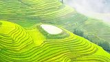航拍广西龙脊梯田，你会喜欢吗