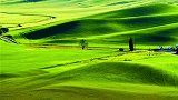 新疆，总有处景色让你念念不忘，那里是诗和远方塞外江南治愈 草原