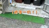 喜欢是一回事 合适是一回事 在一起是一回事
