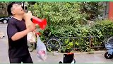 程序员你在家看到我，惊不惊喜，意不意外！产品经理 程序员 碎嘴子崔经理 不好好干活怎么养家