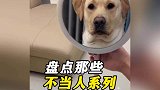 盘点那些不干人事的人类，一时分不清谁才是真的人
