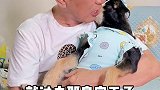 竟然有人说我家狗穿上衣服像菲佣！我爸知道以后快气疯了！ 彩虹屁老爸 萌宠出道计划 大家觉的斑比帅嘛？