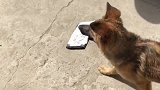 出来取个快递