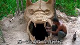 大强开启了荒野建造生活，吃饱后要做豪华泳池
