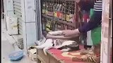 主人剁肉案板颤抖，猫咪毫无波澜