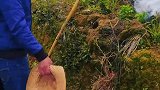 一群老爷们火烧穴洞，每人都乐呵呵的