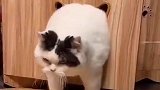 被腰围限制住了前进的步伐