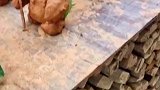 小朋友精心制作泥人士兵，准备出征收复宝岛