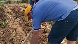 田园生活，干农活，勤劳的农村人
