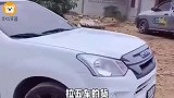 爆笑：这驴是起飞失败了吧？