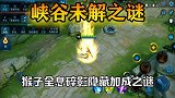 猴子全息碎影隐藏加成，只有全息碎影有！