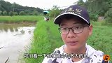 小伙钓鱼一天收获几十斤，什么鱼这么畅销，一上岸就被买走？