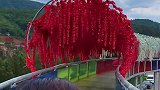 来喽来喽，速度刚刚好，刺激又安全！风景很板扎！