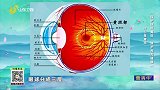 什么是眼球黄斑？