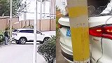 男子伙同朋友伪造车祸现场 表演17分钟撞电线杆，骗保“翻车”