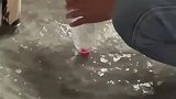 这一幕把人看呆，又学会了一个小妙招