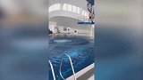 恒大神锋后空翻跳水吊炸天 国产前锋竟跪在他脚边