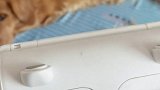 养猫养狗的不要错过这个神器，解决了你对毛毛的烦恼