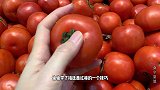 如何避免买到被催熟的西红柿？菜农：从这4个方面就可以轻松看出