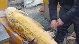 大街上看见老板杀鱼，这么大的一条鱼是啥品种的