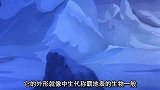 科学家在北极发现了巨兽，却被冰封了起来，怎料还运回了国家
