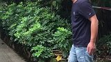 你再瞅一个试试