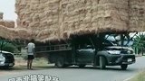 搞笑皮卡车-怎么拉货拉人都找我