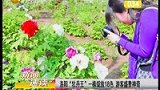 洛阳牡丹王一株绽放18色 游客盛赞神奇-4月27日