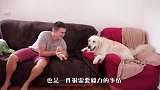 男子路边看到一只奇怪纸箱，过去一看瞬间乐开花，网友：赚大了