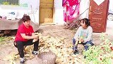 妈妈累的腰酸背疼，小雪让小朱帮忙，他不帮忙还说玉米值不几个钱