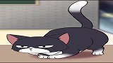 猫真的不能喝，不信你看
