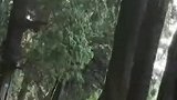 “美丽中国行”探访国家公园之 走进广元剑阁