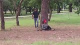 作死恶作剧，男子故意抢走美女的帽子，结果被打了