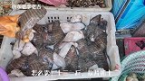 山东荣成，海鲜店里卖的鱼长相奇特，12元一斤，大家看看认识吗