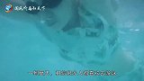 “水鬼”真实存在吗听听科学家怎么说，真相让人意想不到