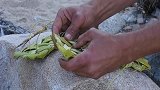 男子深山里独居2年，用藤条给自己编草鞋，好羡慕过原始生活