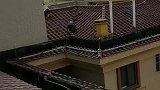 小孩爬上28楼天台玩耍，小区保安紧急劝阻抱下