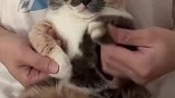 二郎腿一翘谁都不爱
