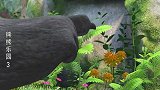 熊熊乐园：大黑熊老师教大家什么是含羞草！