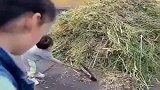 把兄妹俩放乡下半个月，接他们回去看到这一幕，为娘太欣慰了！