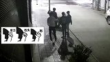 云南红河：毁童年！4小偷“猜拳”定“分工” 谁输谁去偷