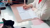 猫你忙你的工作，我睡我的觉！
