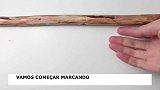 视频教程仙人掌植物吊篮，美出新高度！