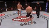 神龙摆尾！盘点UFC所有回旋踢KO 巴西腿王出神入化