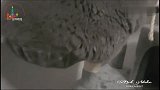逗猫棒就是软肋！英短猫咬住逗猫棒不撒嘴，都快咬掉毛了